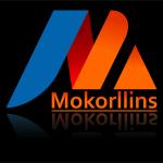 Mokorllins Integrated Services: The Umbrella of Innovation