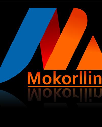 Mokorllins Integrated Services: The Umbrella of Innovation